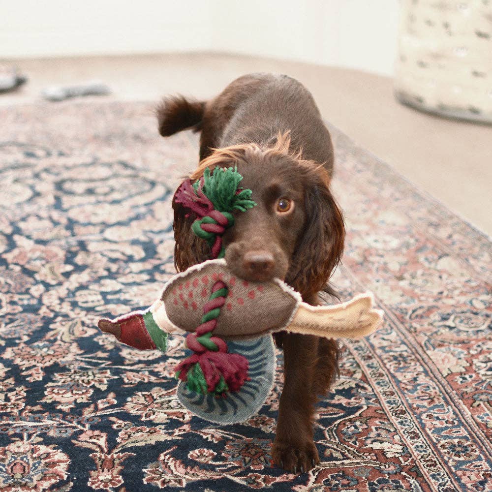 Pheasant Dog Toy