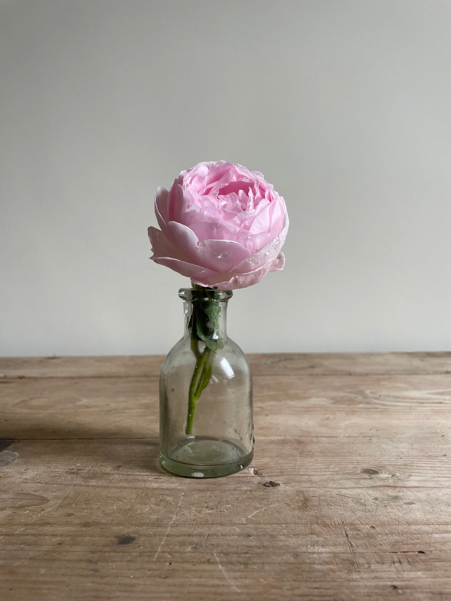 Bud Vase Plain
