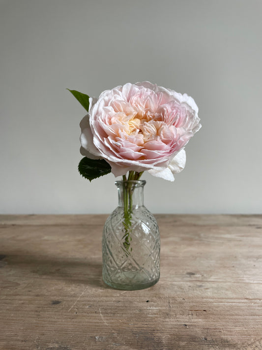 Bud Vase Patterned