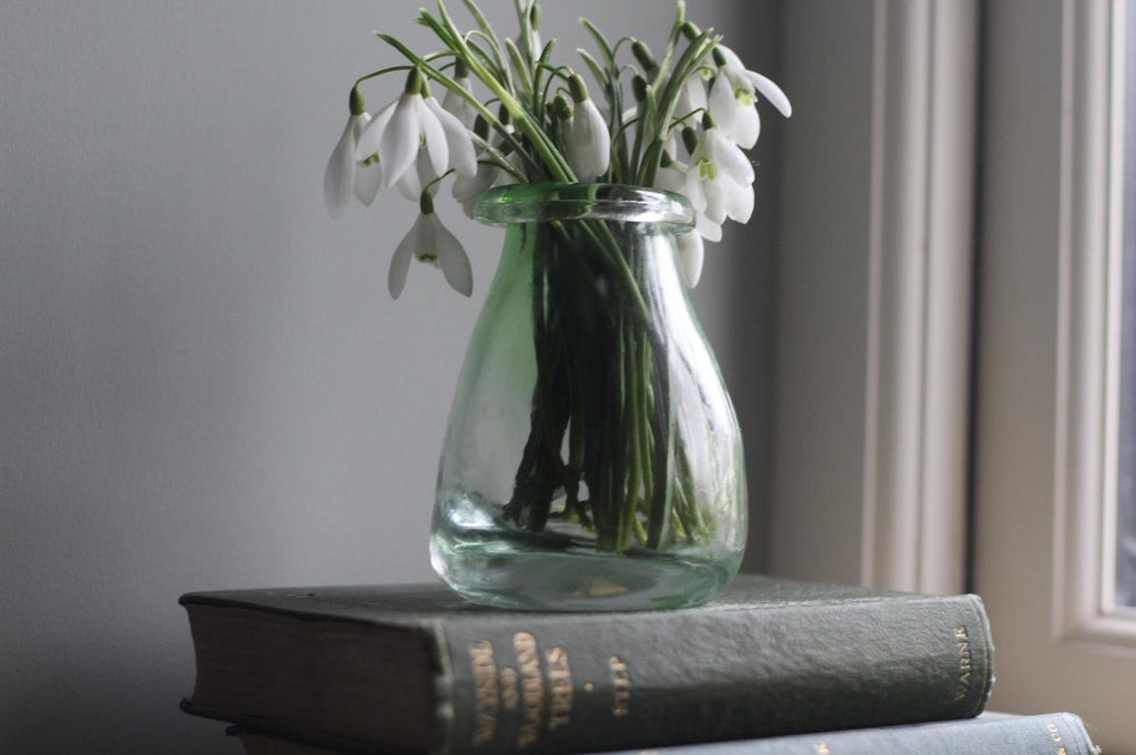 Snowdrops and where to visit to enjoy them