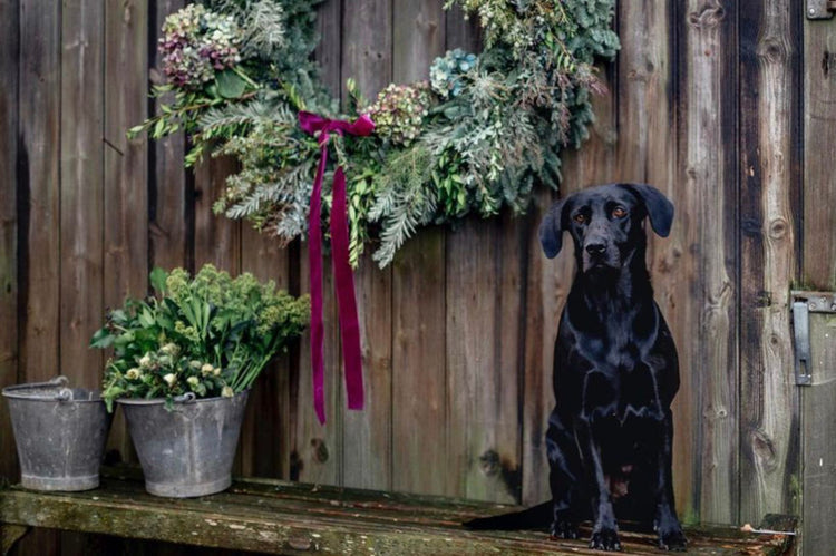 Christmas Flowers & Wreaths