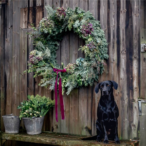 December Workshops