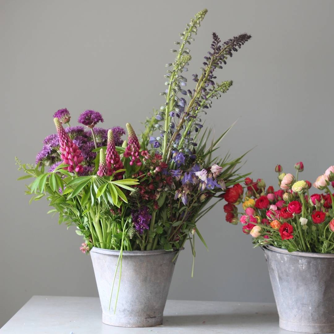 June Workshops