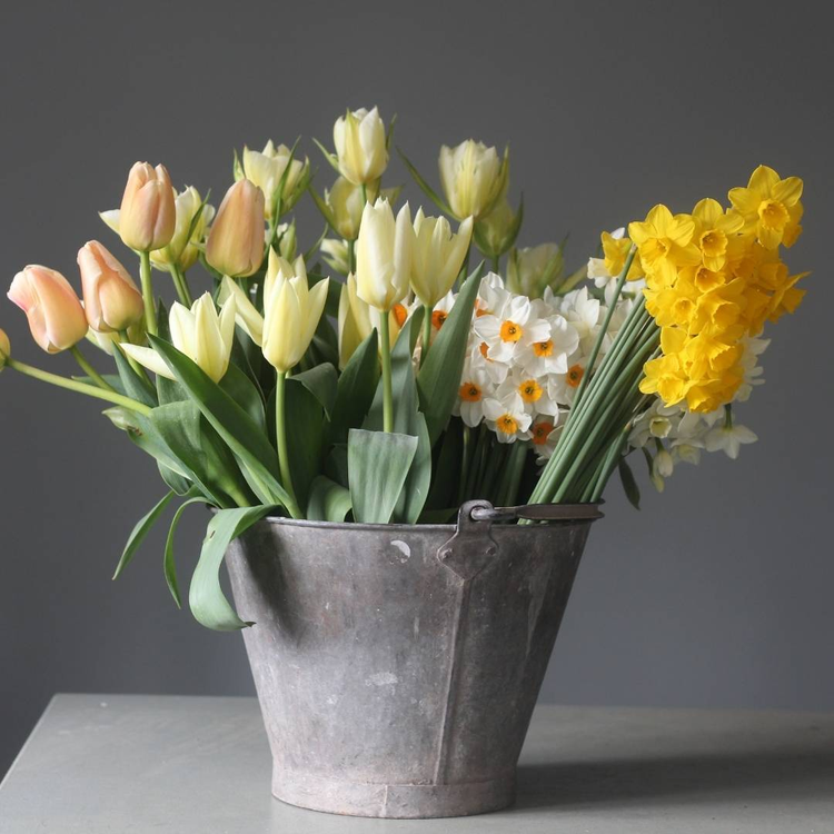 March Workshops