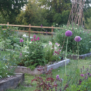 May Workshops