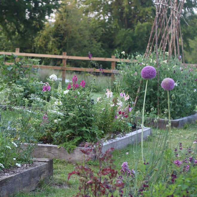 May Workshops
