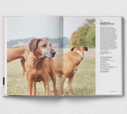 Dog-Friendly London
