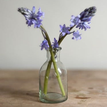 Bud Vase Plain