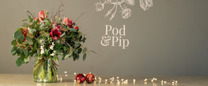 Pod & Pip's Christmas Floral Display