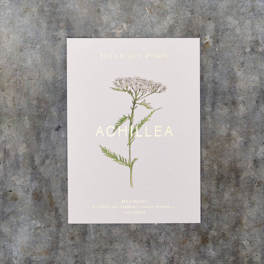 Achillea Millefolium (Yarrow) Seed Packet