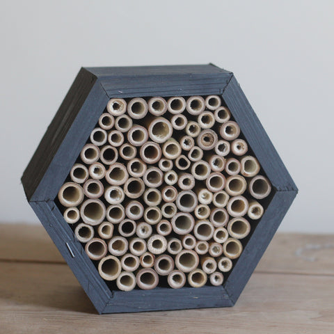 Bee House