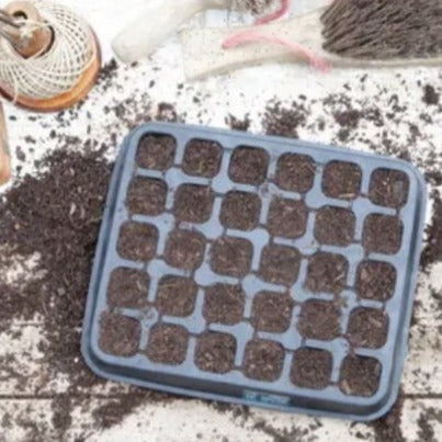 Natural Rubber Seed Tray