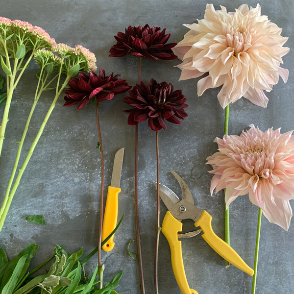 Introduction to Floristry Course