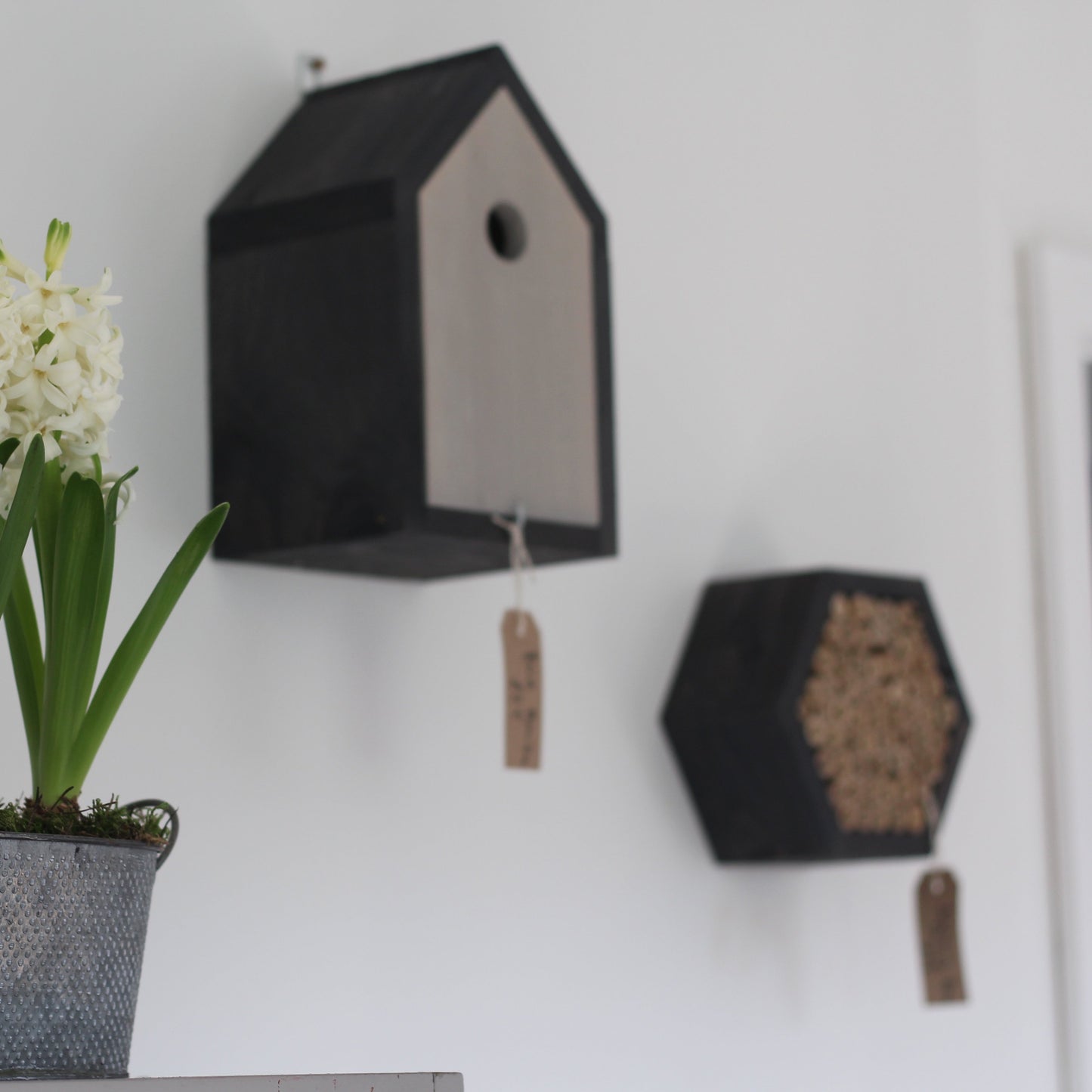 Bee House